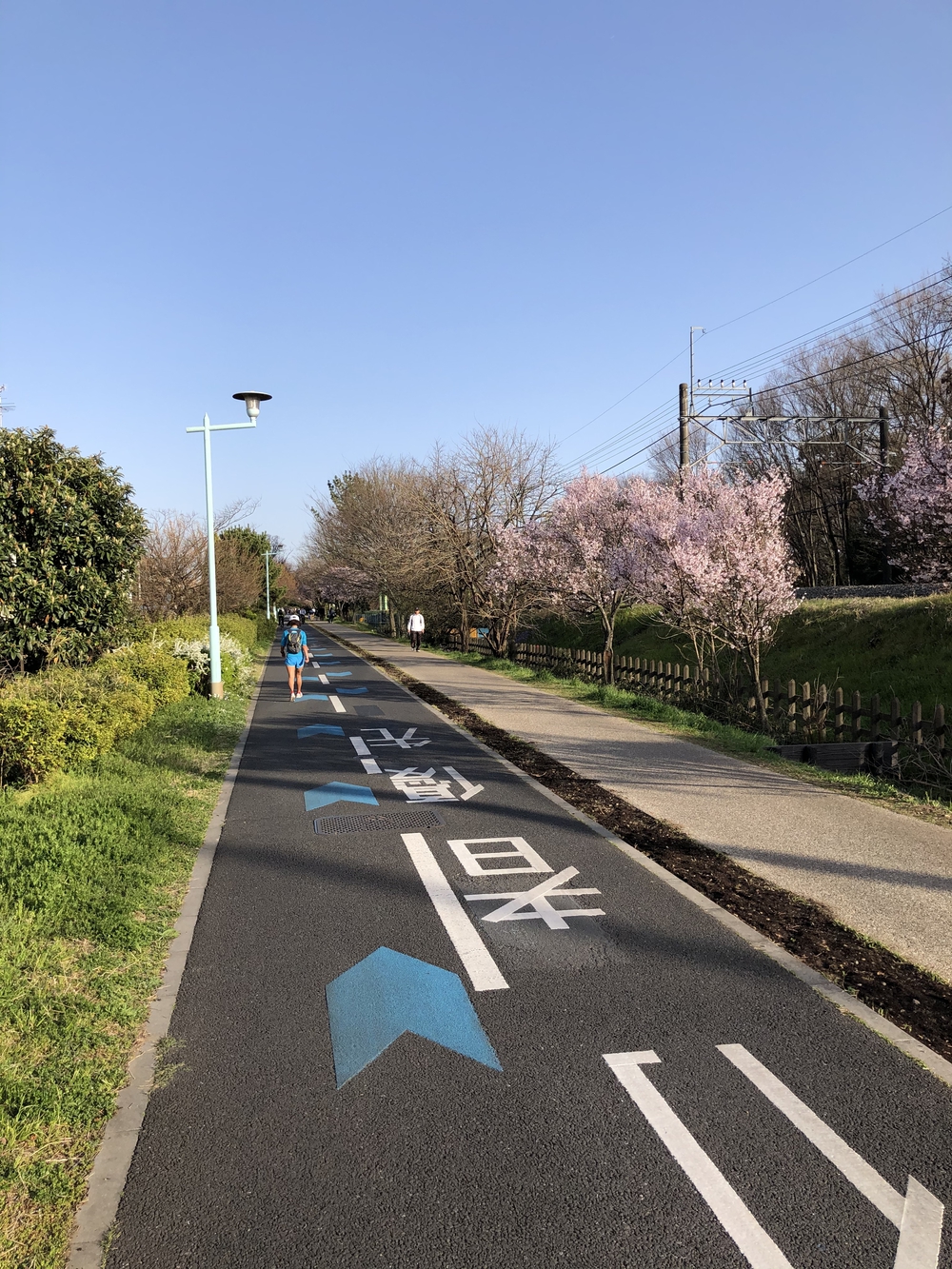 多摩湖自転車道→庚申湯の写真6