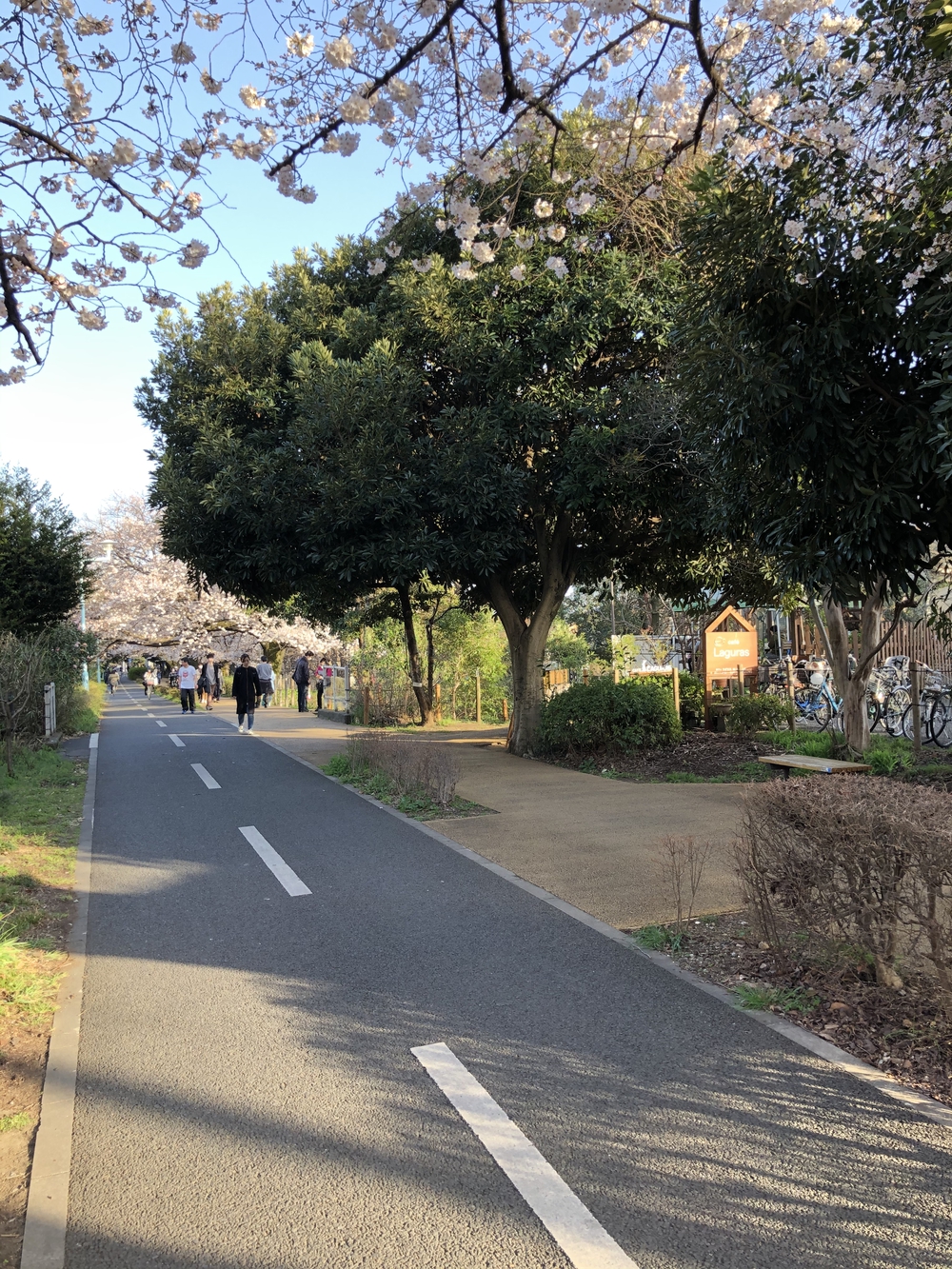 多摩湖自転車道→庚申湯の写真7