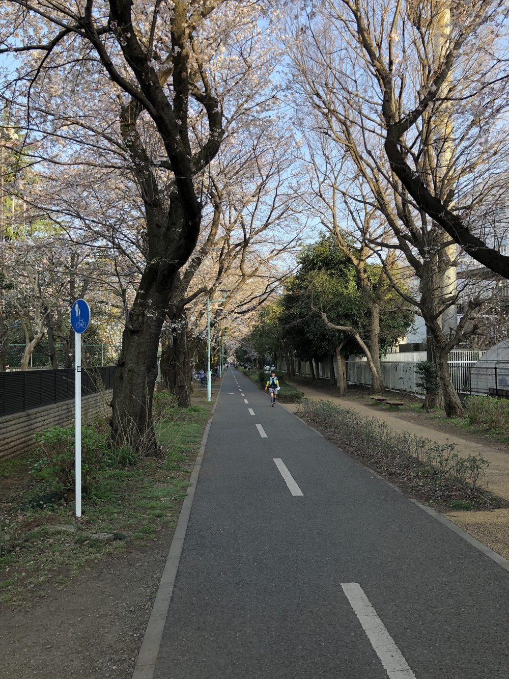 多摩湖自転車道→庚申湯の写真8