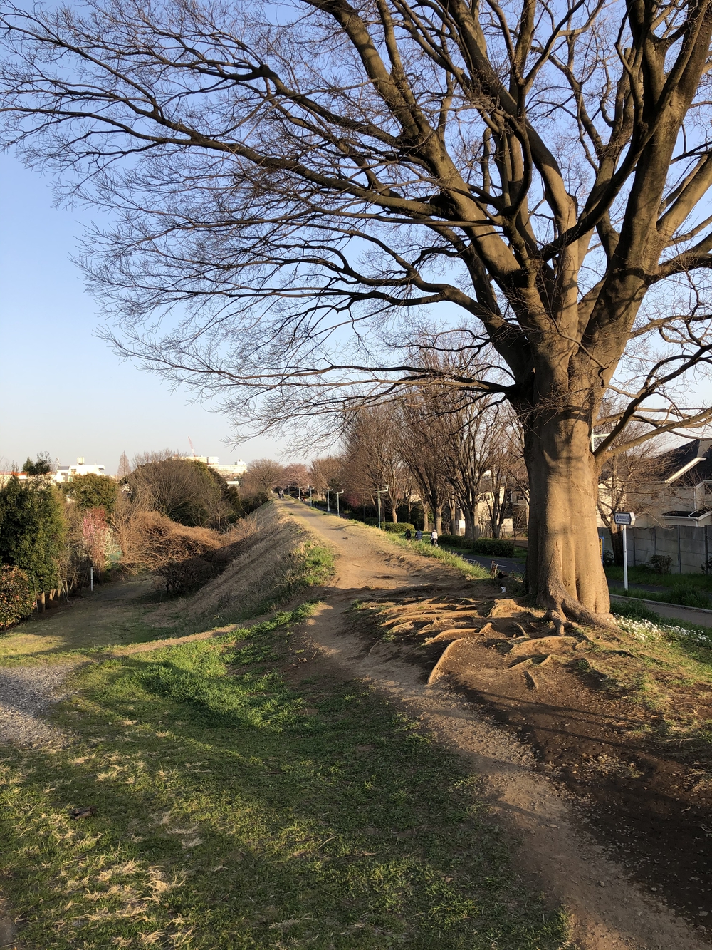 多摩湖自転車道→庚申湯の写真9