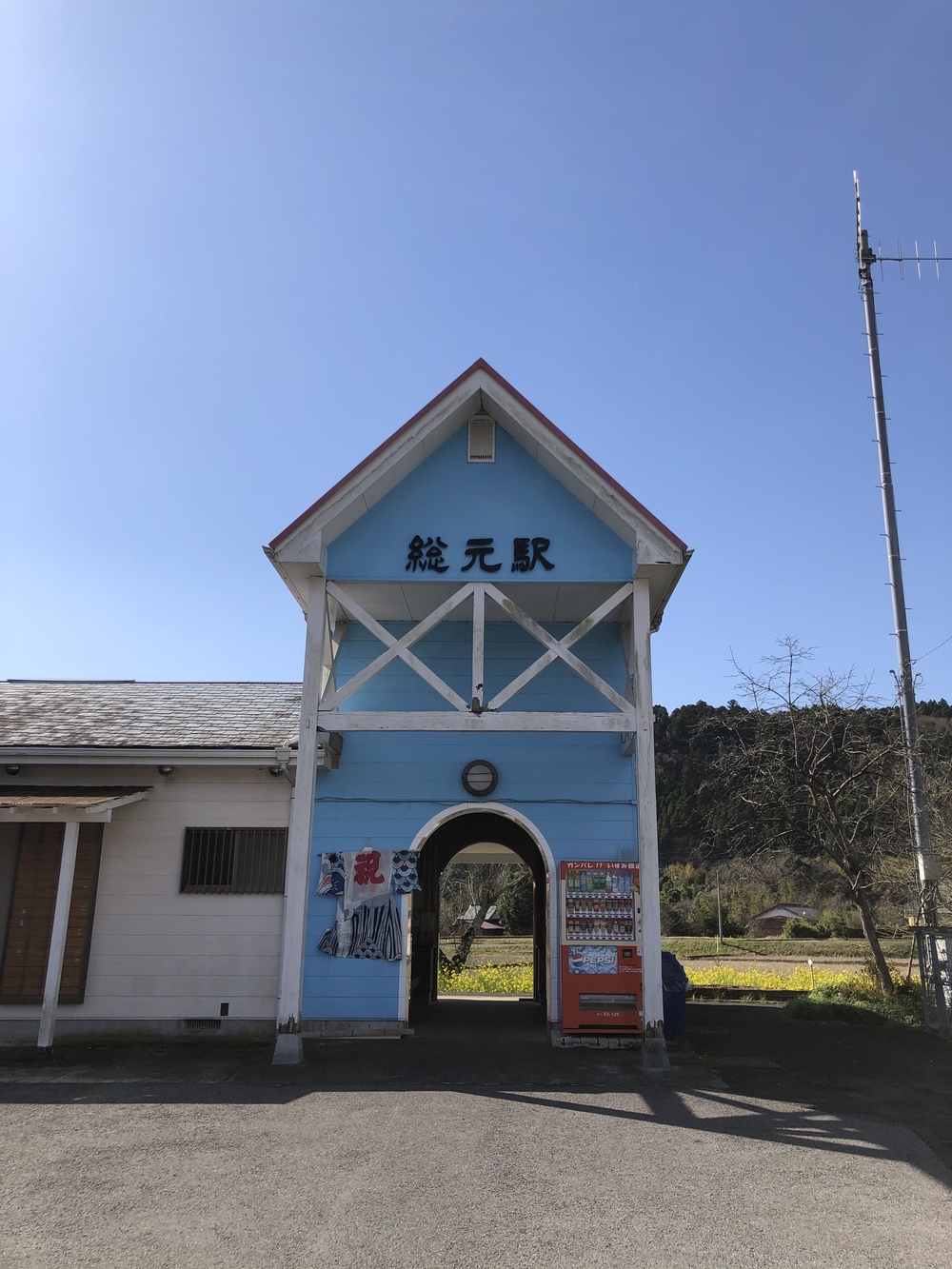 春爛漫♪いすみ鉄道菜の花Runの写真5