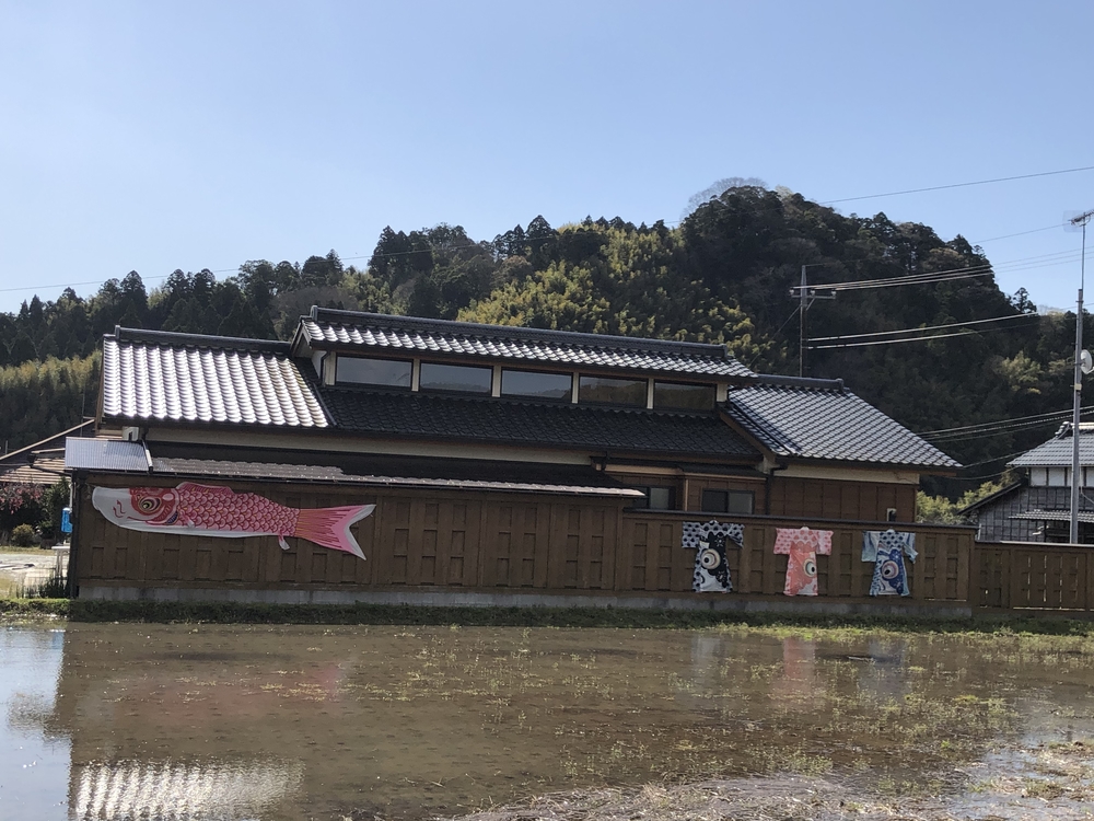 春爛漫♪いすみ鉄道菜の花Runの写真6
