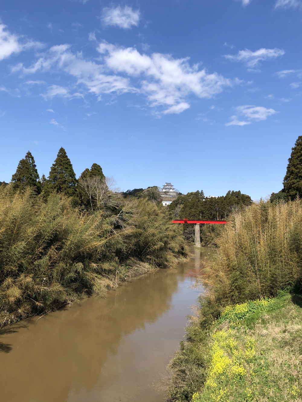 春爛漫♪いすみ鉄道菜の花Runの写真8