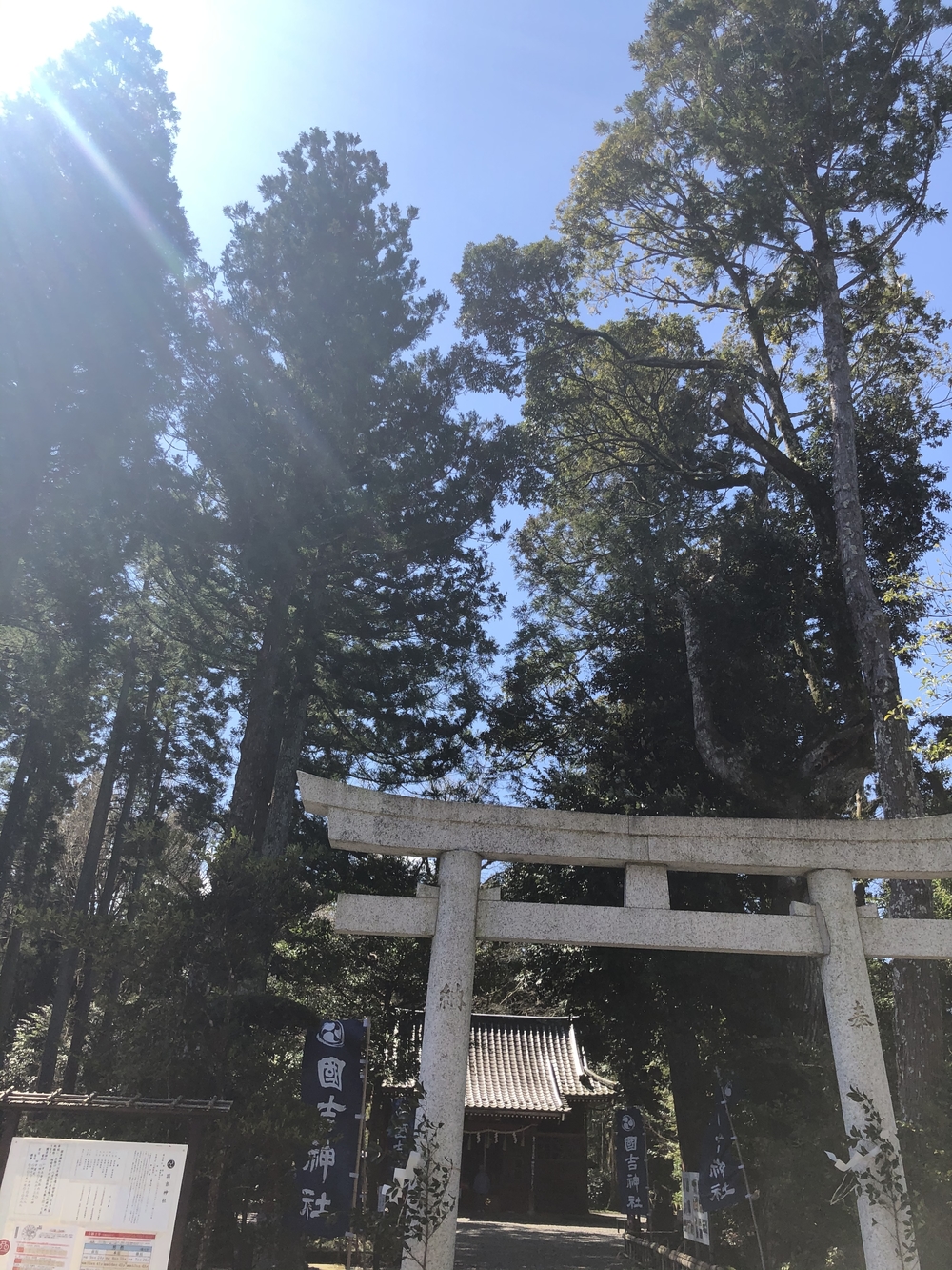 春爛漫♪いすみ鉄道菜の花Runの写真10