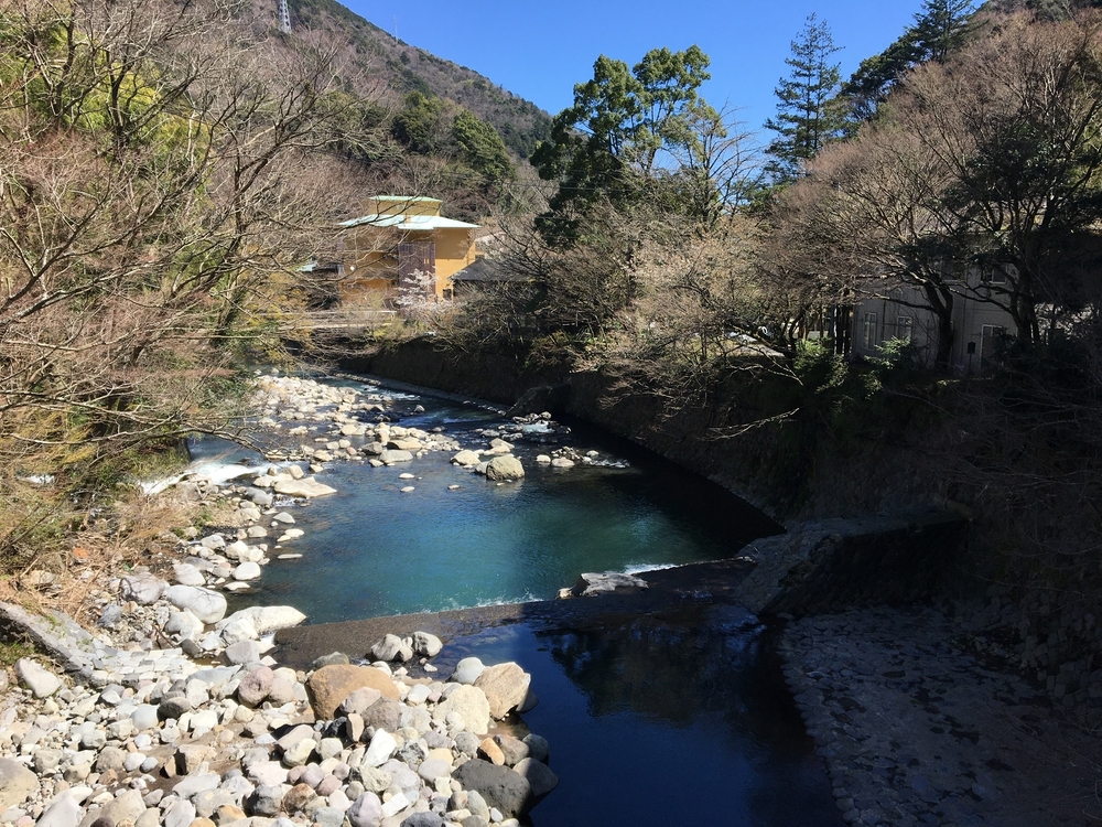 小田原駅から大平台往復。早雲寺と長興山の桜を交えて。の写真3