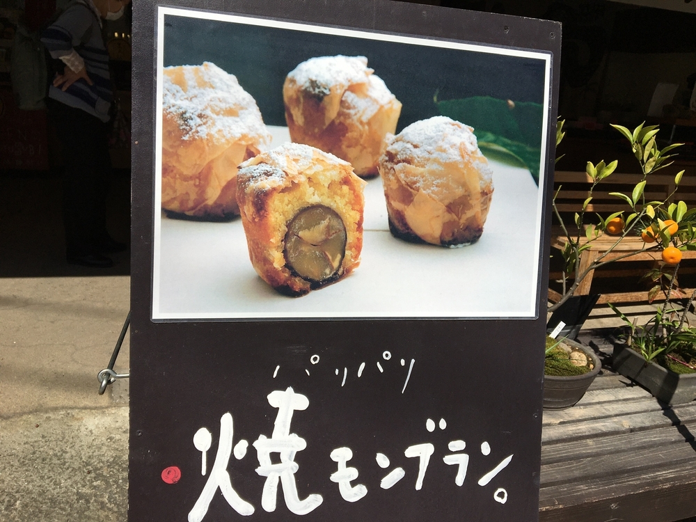 小田原駅から大平台往復。早雲寺と長興山の桜を交えて。の写真5