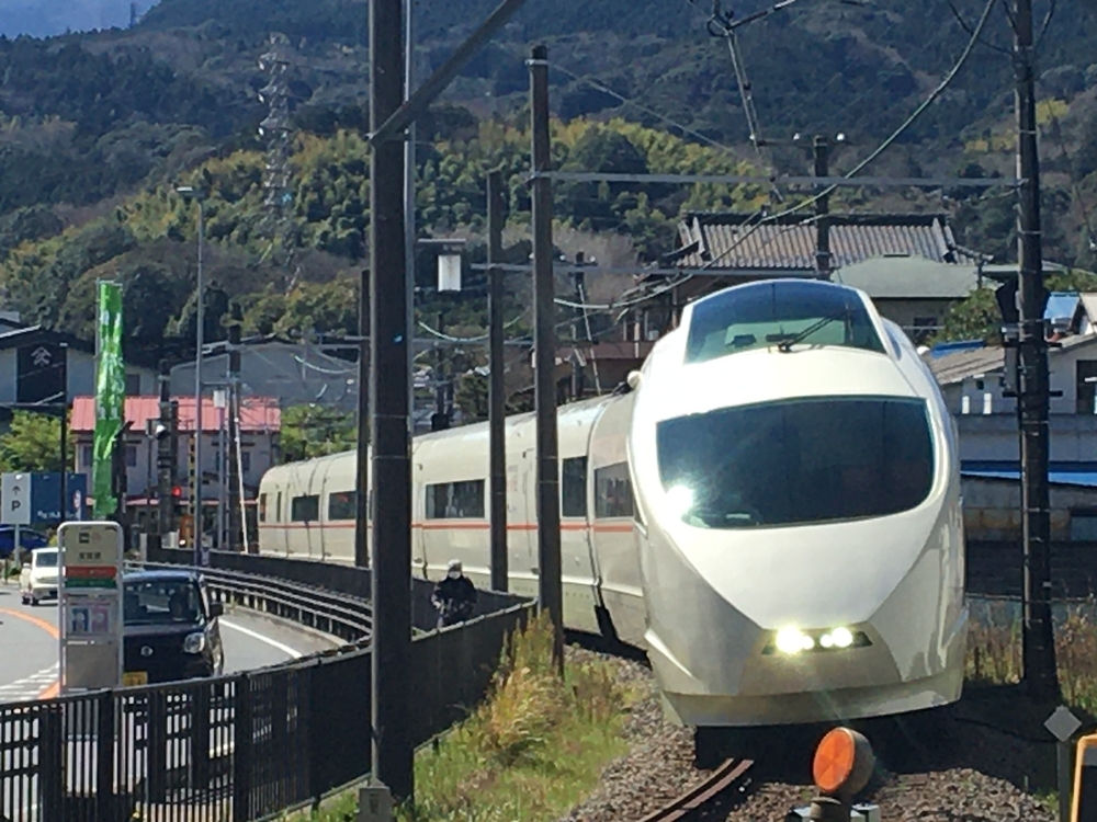小田原駅から大平台往復。早雲寺と長興山の桜を交えて。の写真9