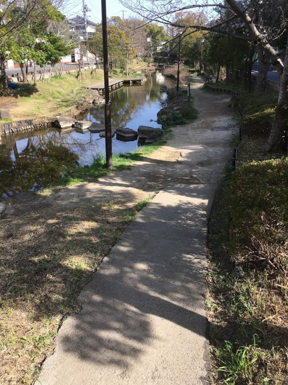 小松川境川親水公園 往復runの写真3