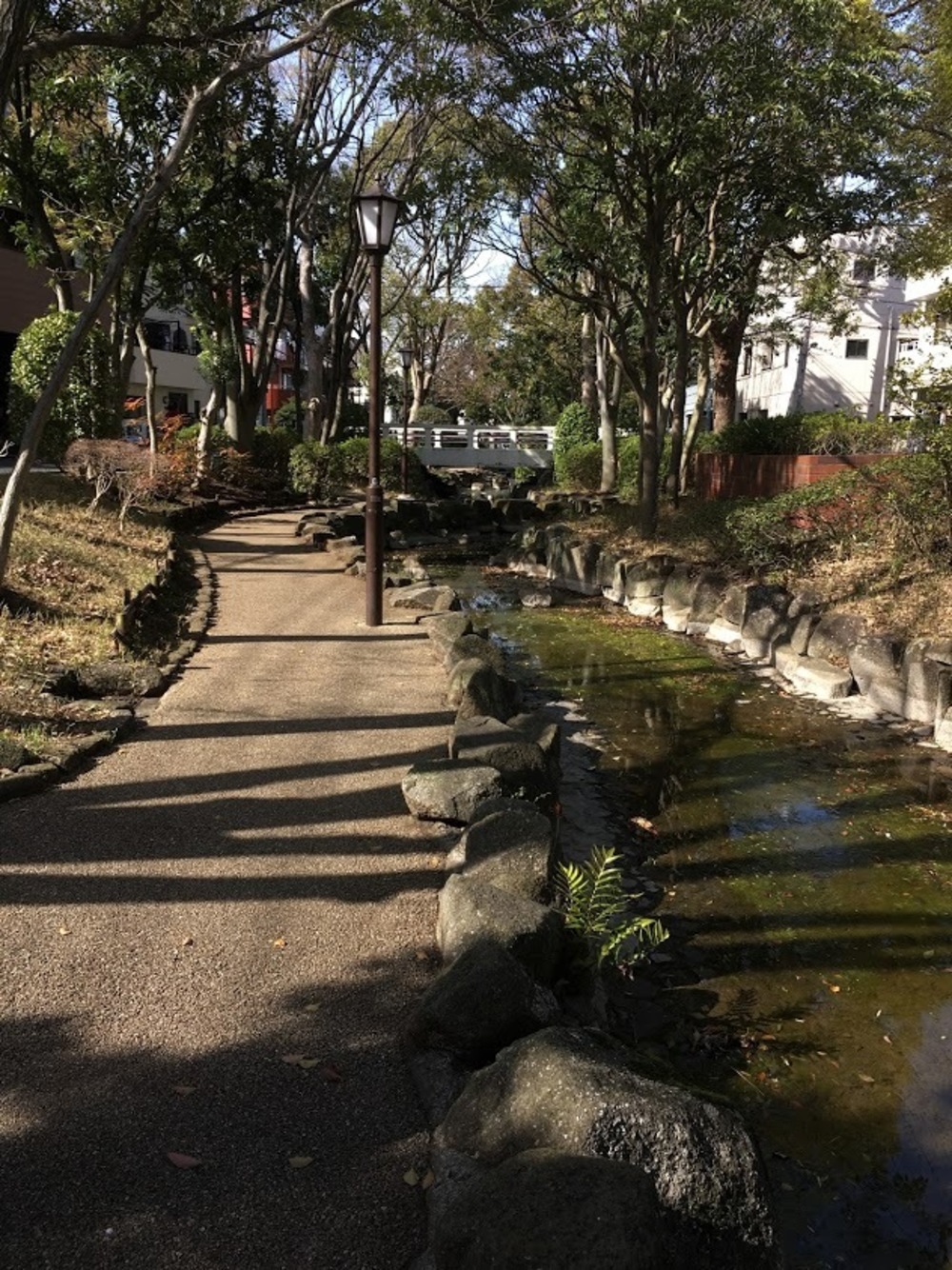 小松川境川親水公園 往復runの写真4