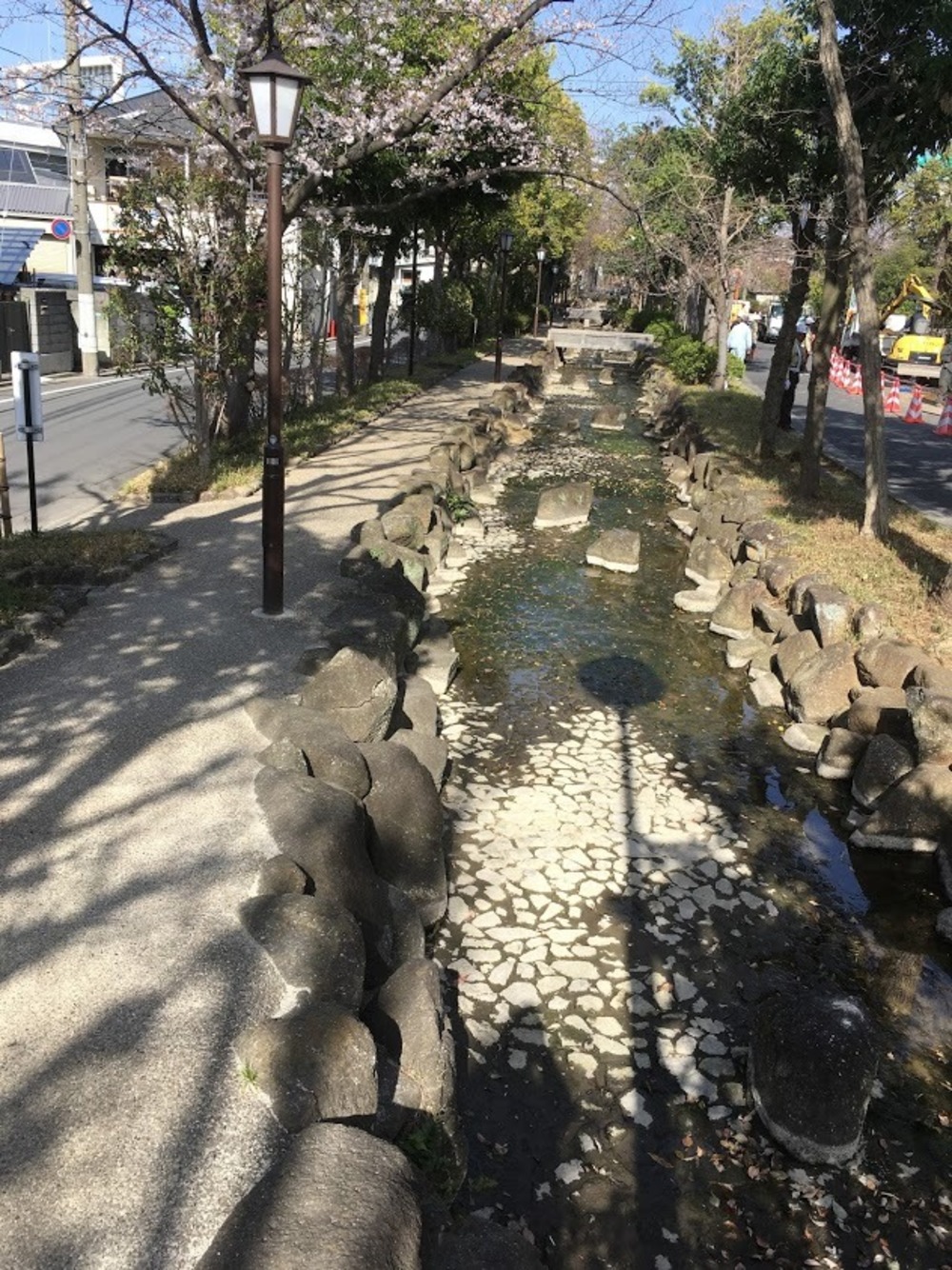 小松川境川親水公園 往復runの写真5