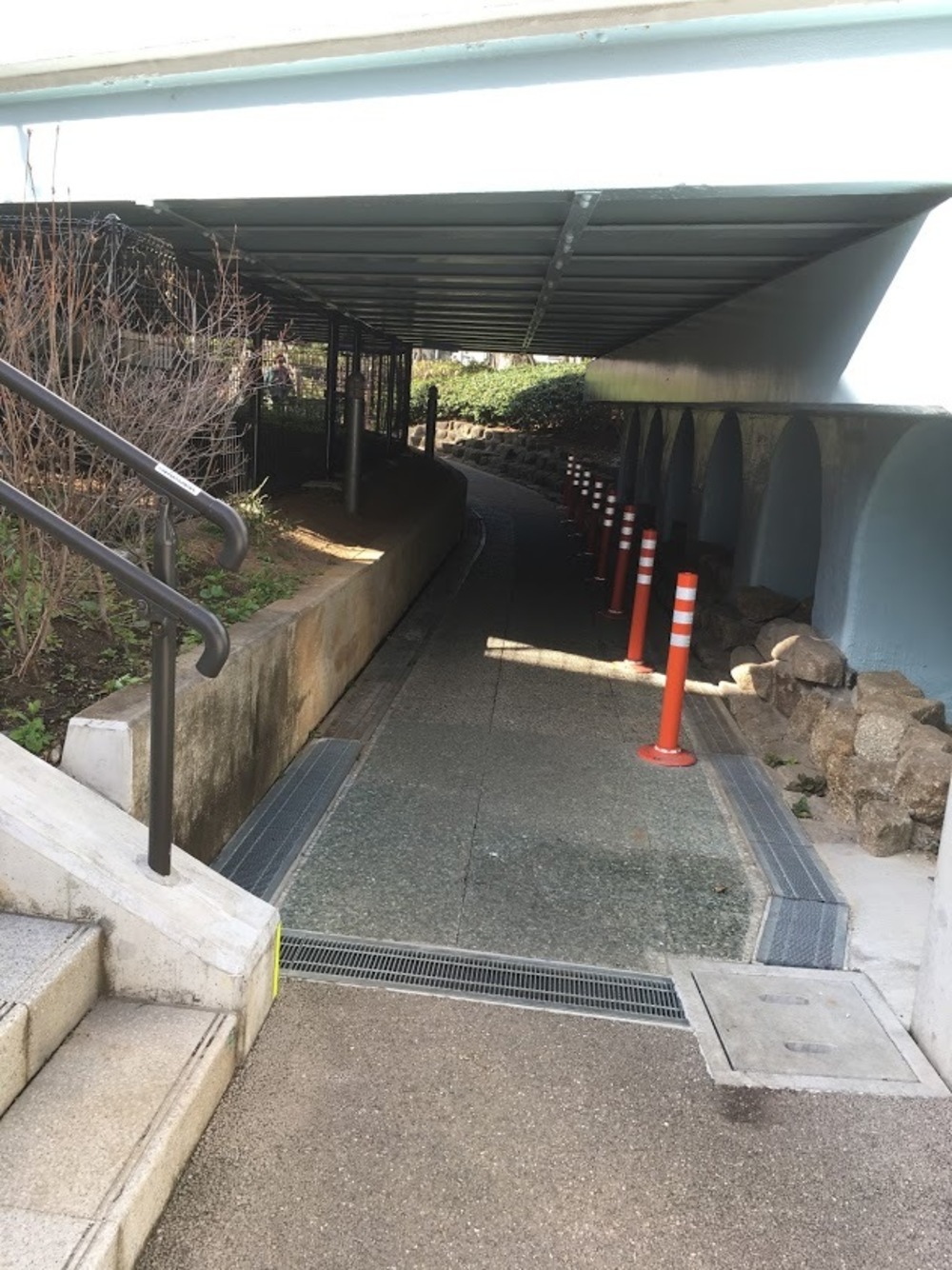 小松川境川親水公園 往復runの写真7