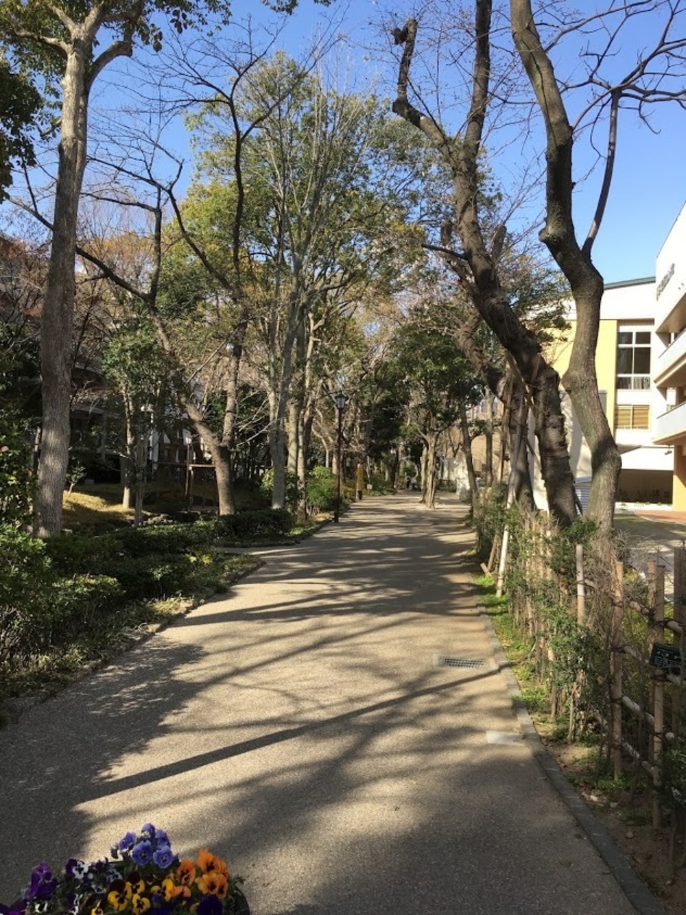 小松川境川親水公園 往復runの写真9