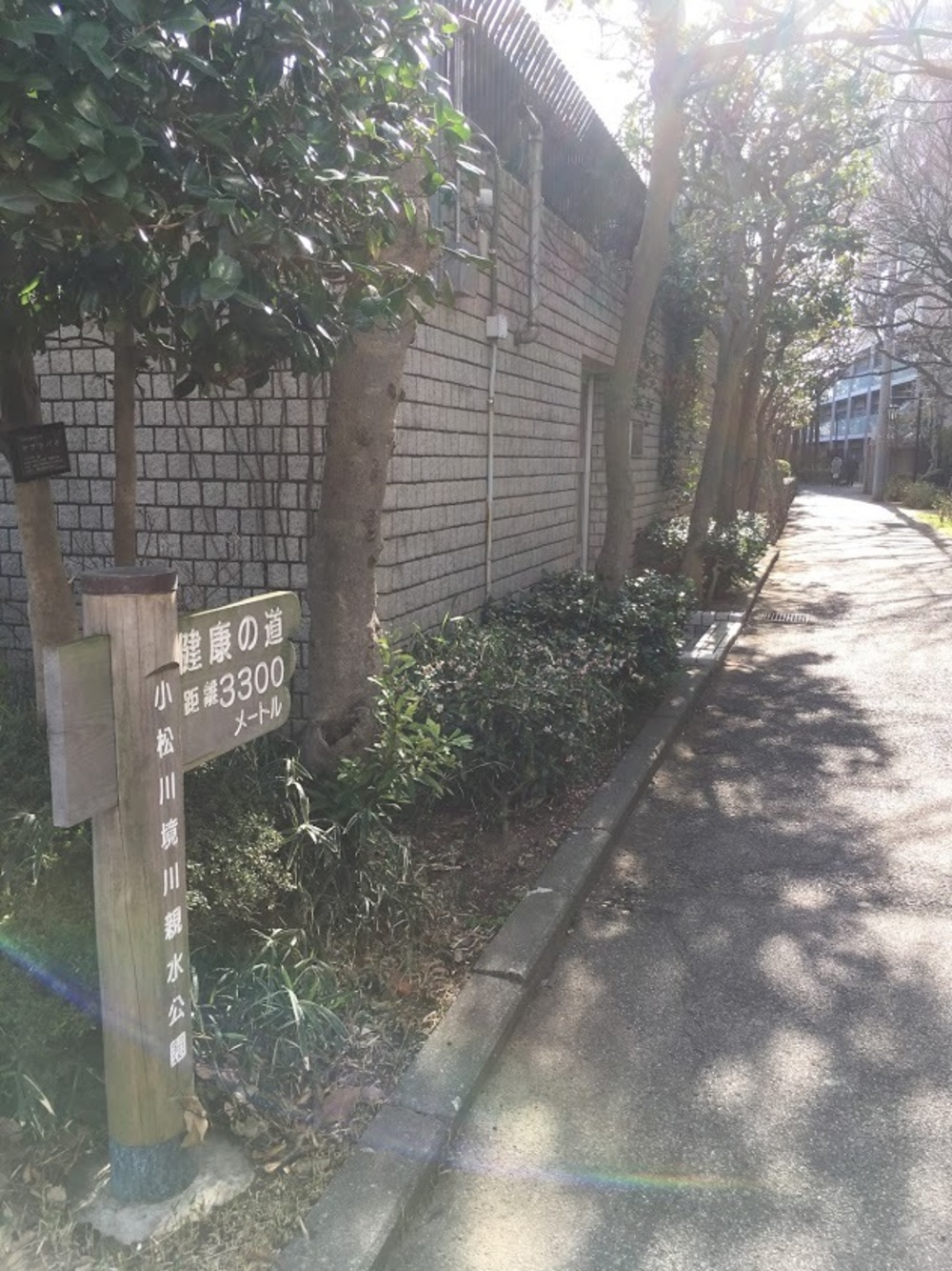 小松川境川親水公園 往復runの写真11