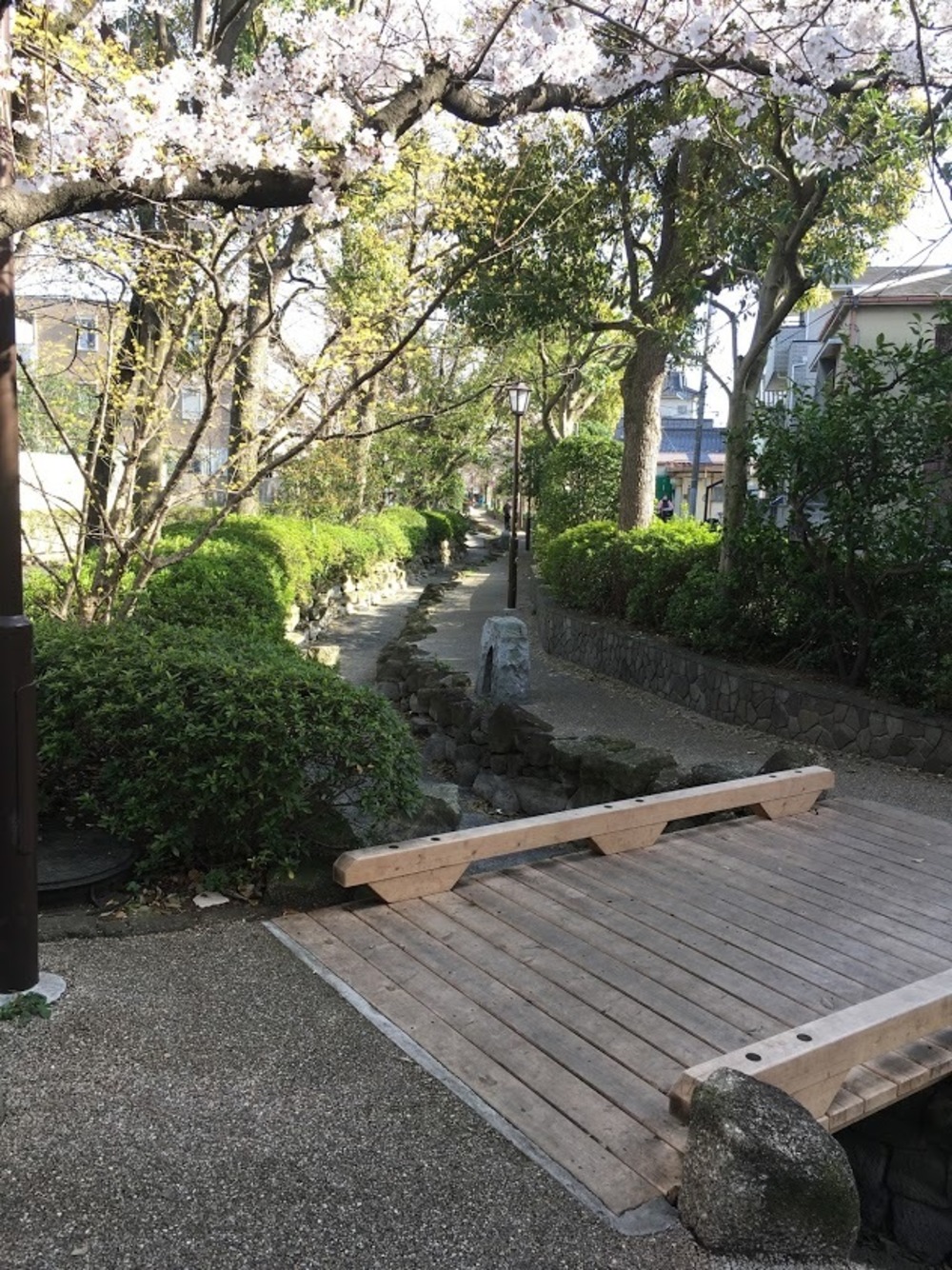 小松川境川親水公園 往復runの写真14