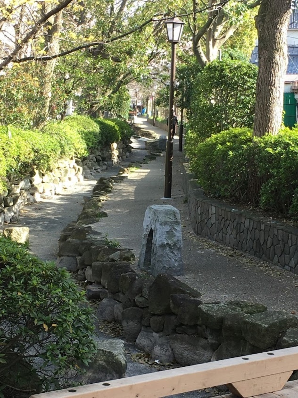 小松川境川親水公園 往復runの写真15