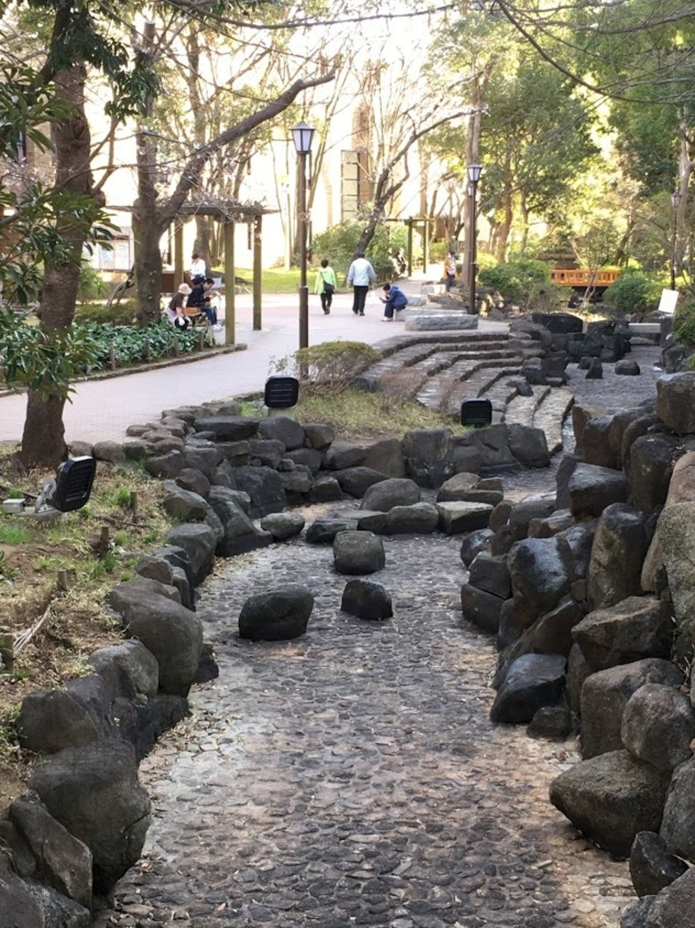 小松川境川親水公園 往復runの写真16