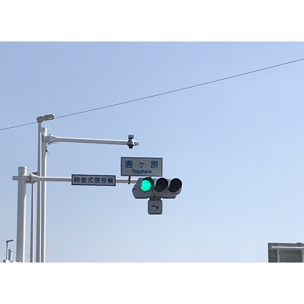 花粉症にはオススメ海沿いコース♪の写真4