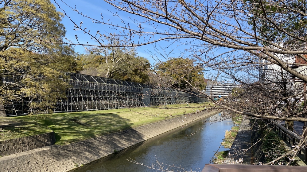 熊本城を色々な角度から楽しめるコースです👍の写真4