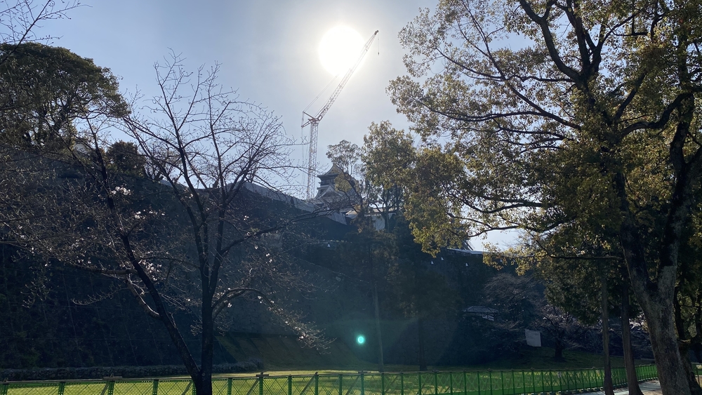 熊本城を色々な角度から楽しめるコースです👍の写真6