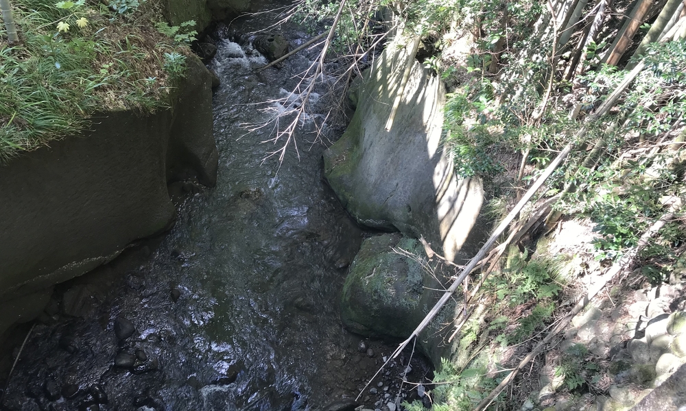 金沢南部丘陵歴史夢街童(大乗寺丘陵公園〜額谷ふれあい公園)の写真3