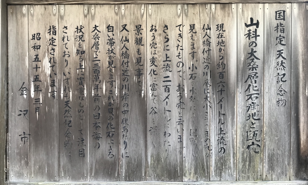 金沢南部丘陵歴史夢街童(大乗寺丘陵公園〜額谷ふれあい公園)の写真4