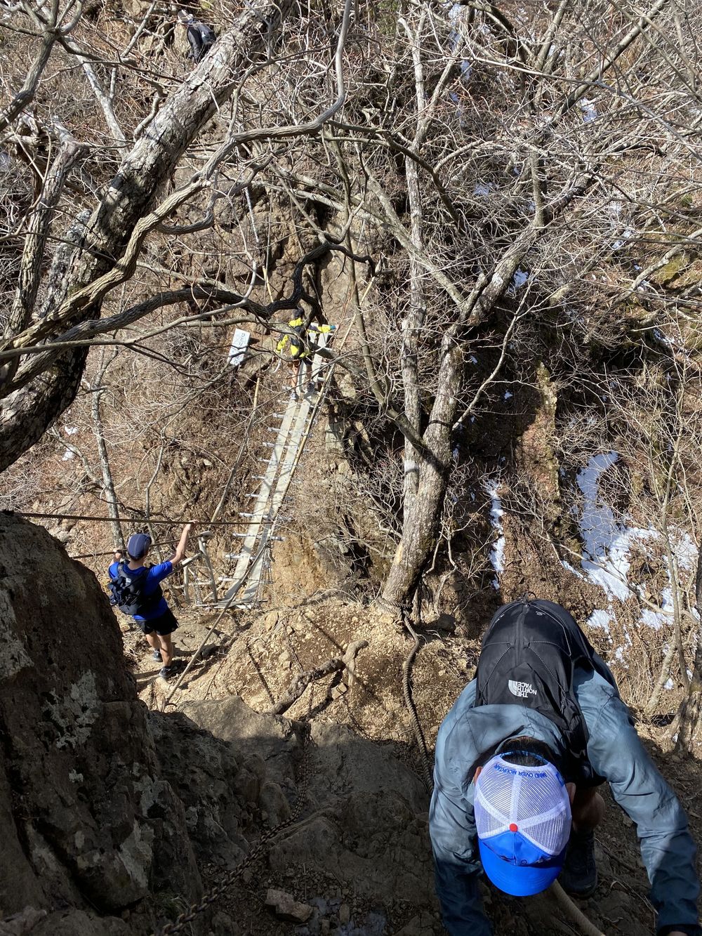 どこからでも富士山一望トレイルコースの写真3