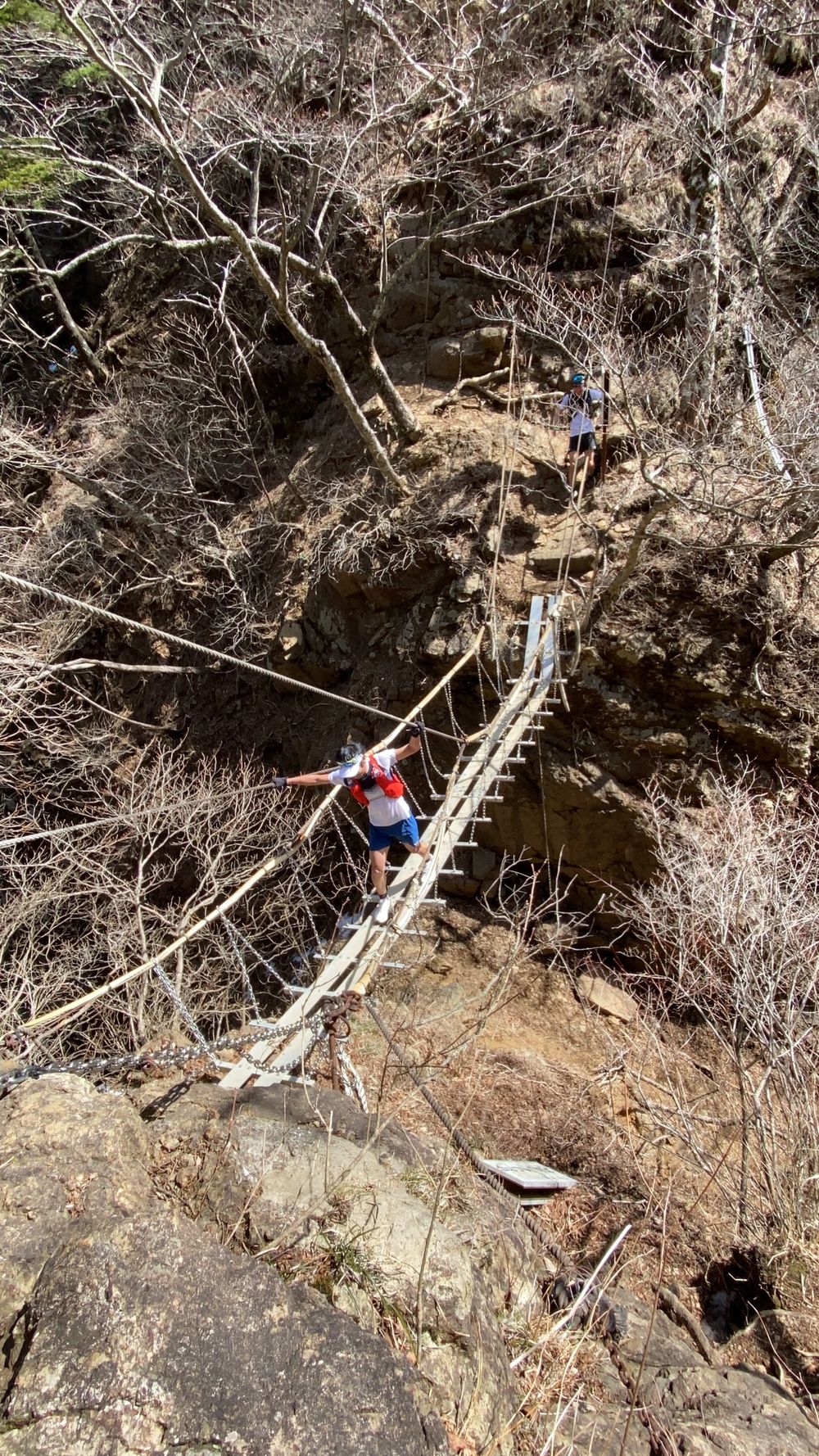 どこからでも富士山一望トレイルコースの写真4