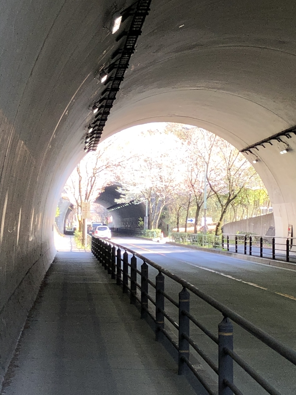 多摩丘陵コース(アップダウン多め)の写真5