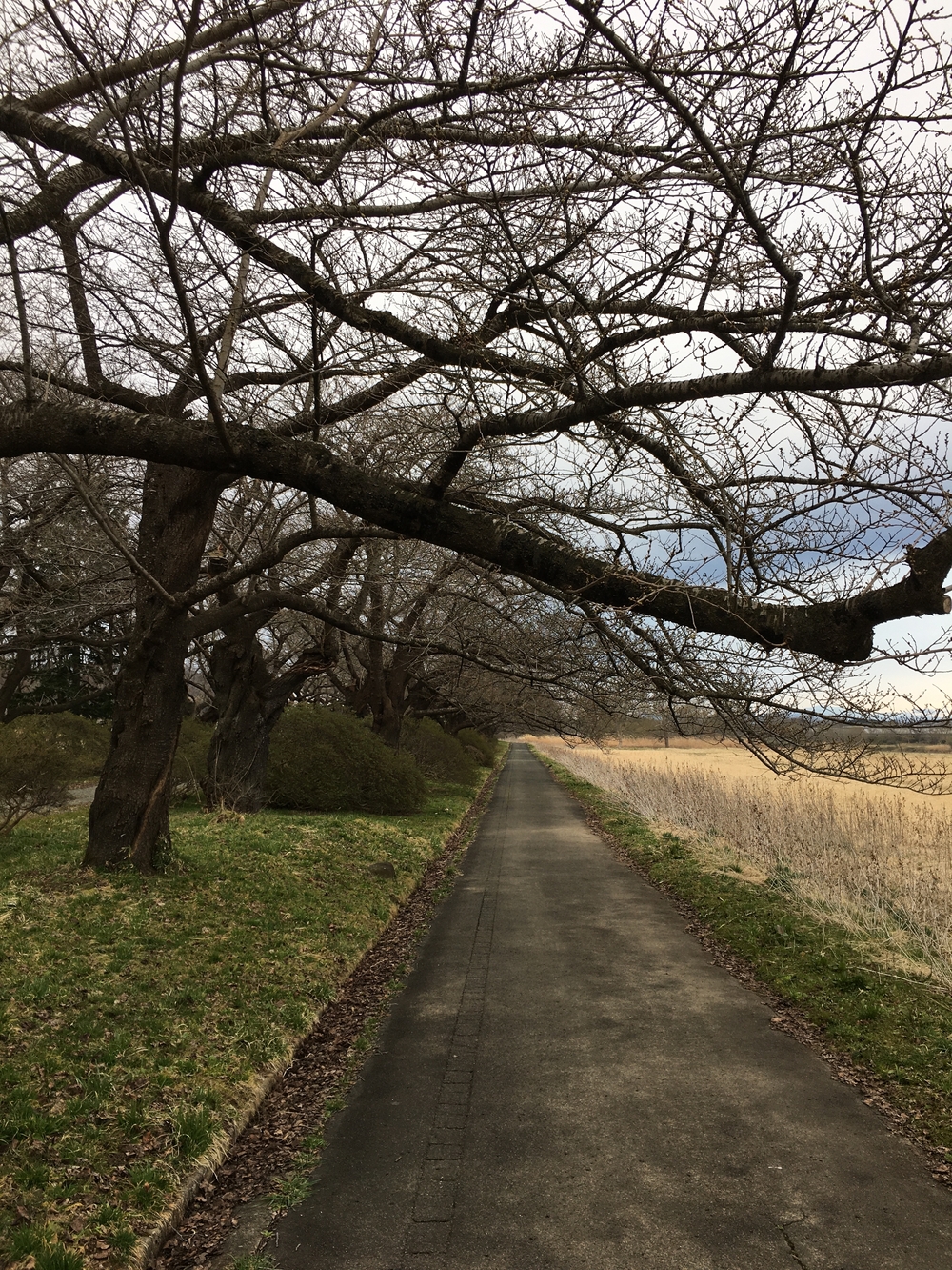 北上市出張ラン(北上駅)の写真4