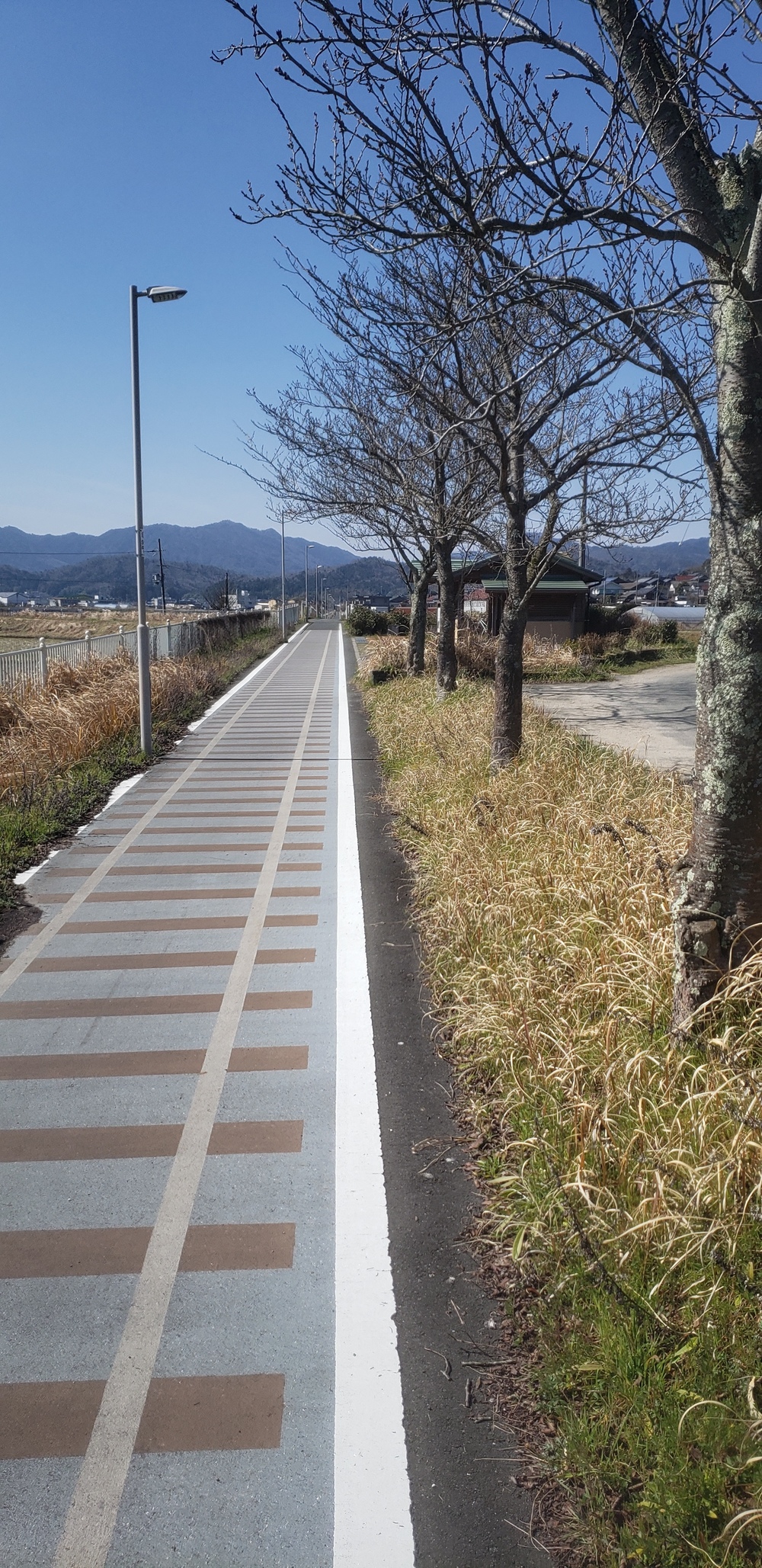 加悦鉄道 廃線跡 ジョグの写真9