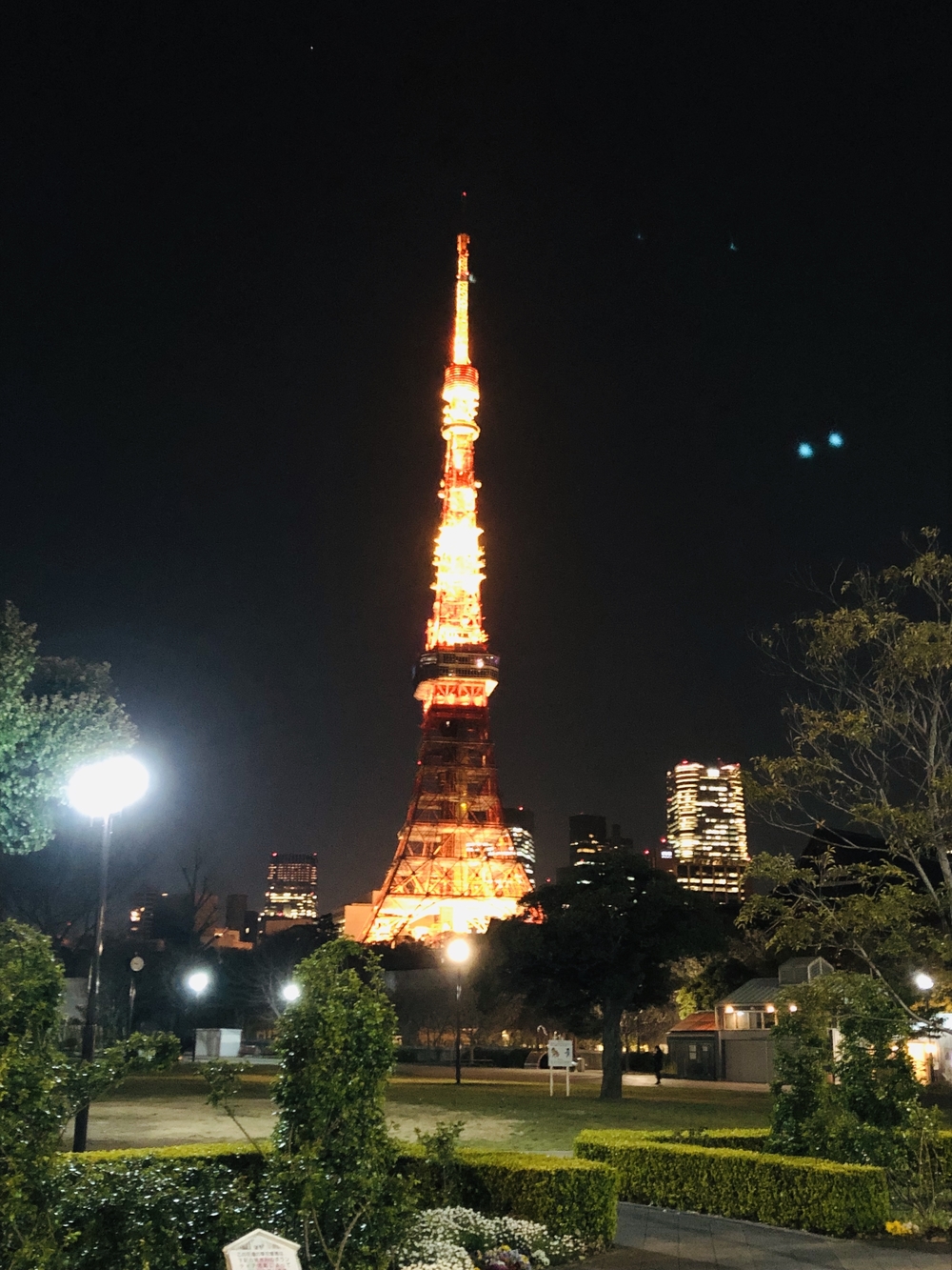 港区～都会の夜桜お花見ランの写真11