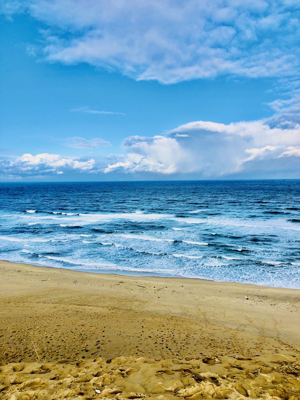 雄大な鳥取砂丘を味わう鳥取市内ランの写真3