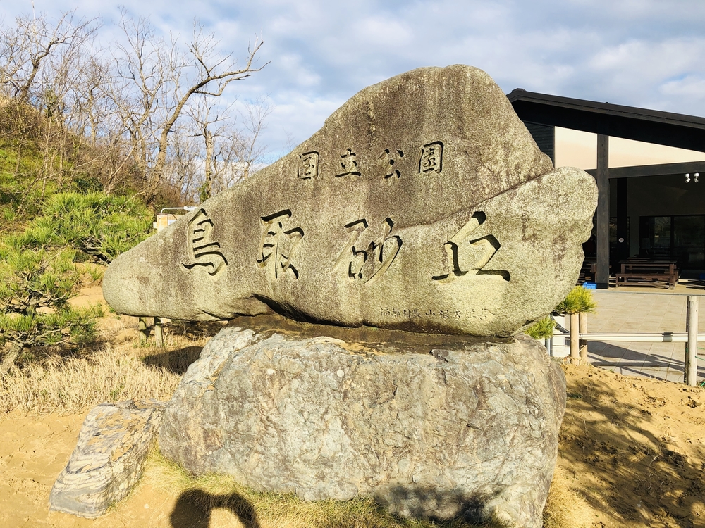 雄大な鳥取砂丘を味わう鳥取市内ランの写真4