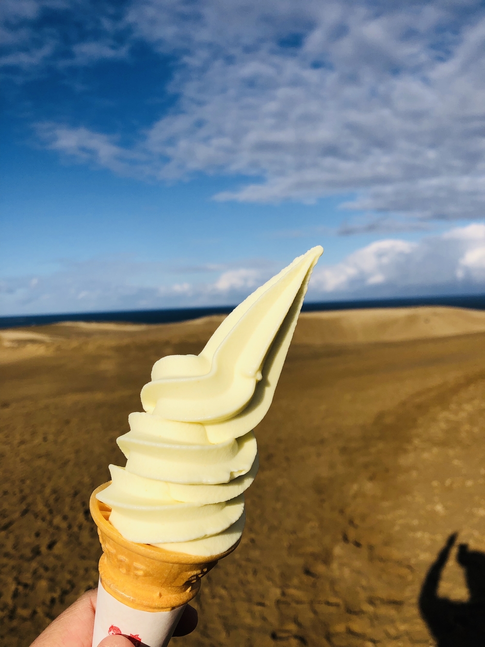 雄大な鳥取砂丘を味わう鳥取市内ランの写真5
