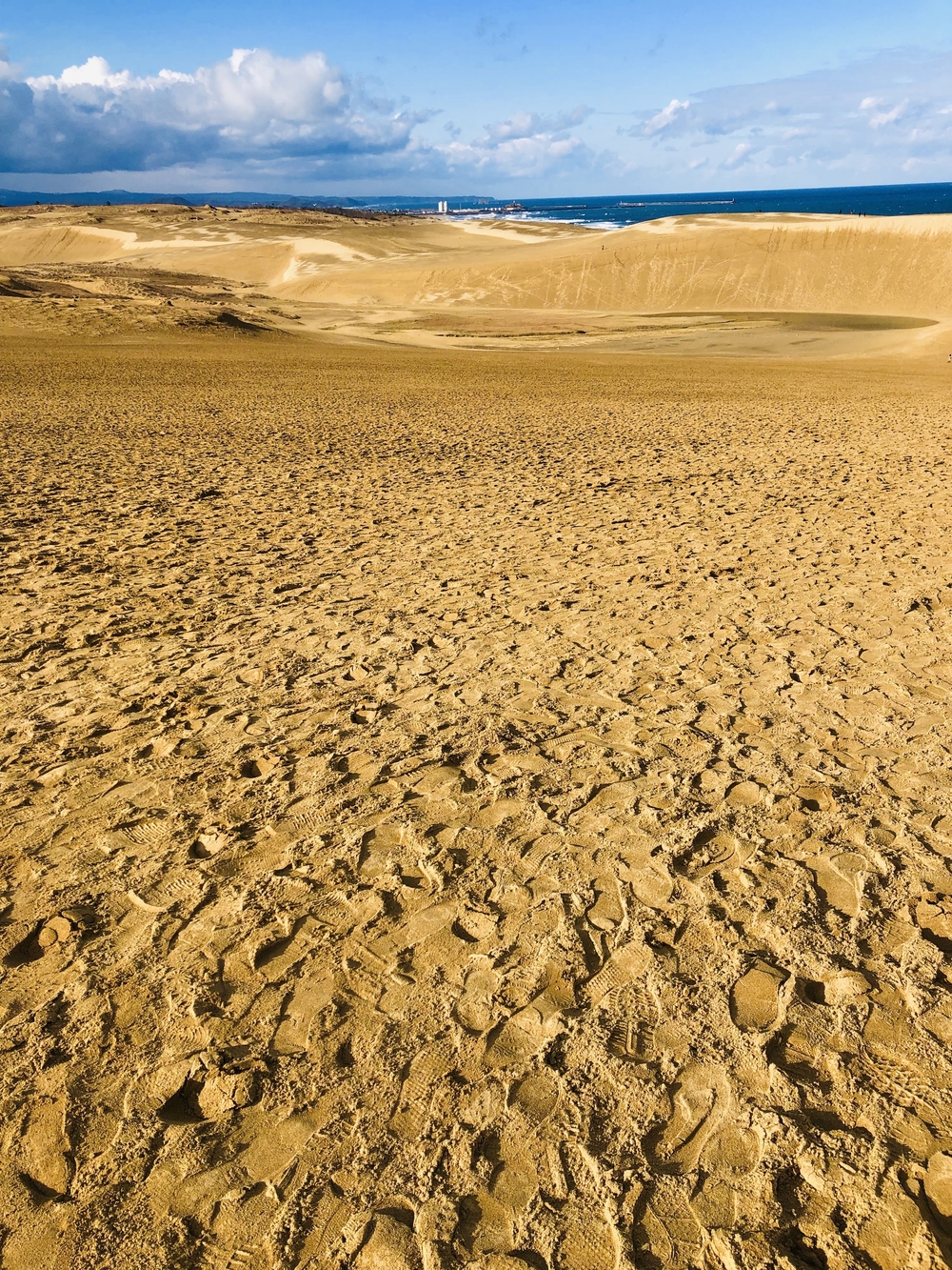 雄大な鳥取砂丘を味わう鳥取市内ランの写真7