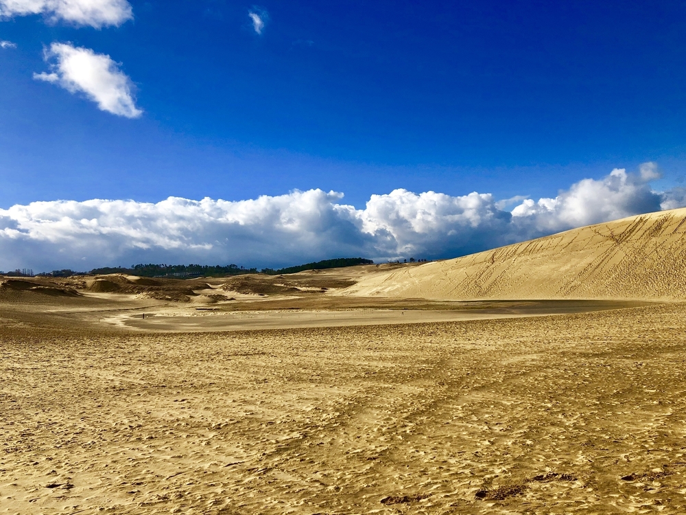 雄大な鳥取砂丘を味わう鳥取市内ランの写真8