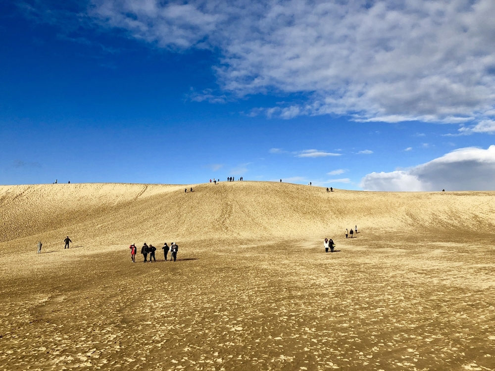 雄大な鳥取砂丘を味わう鳥取市内ランの写真9