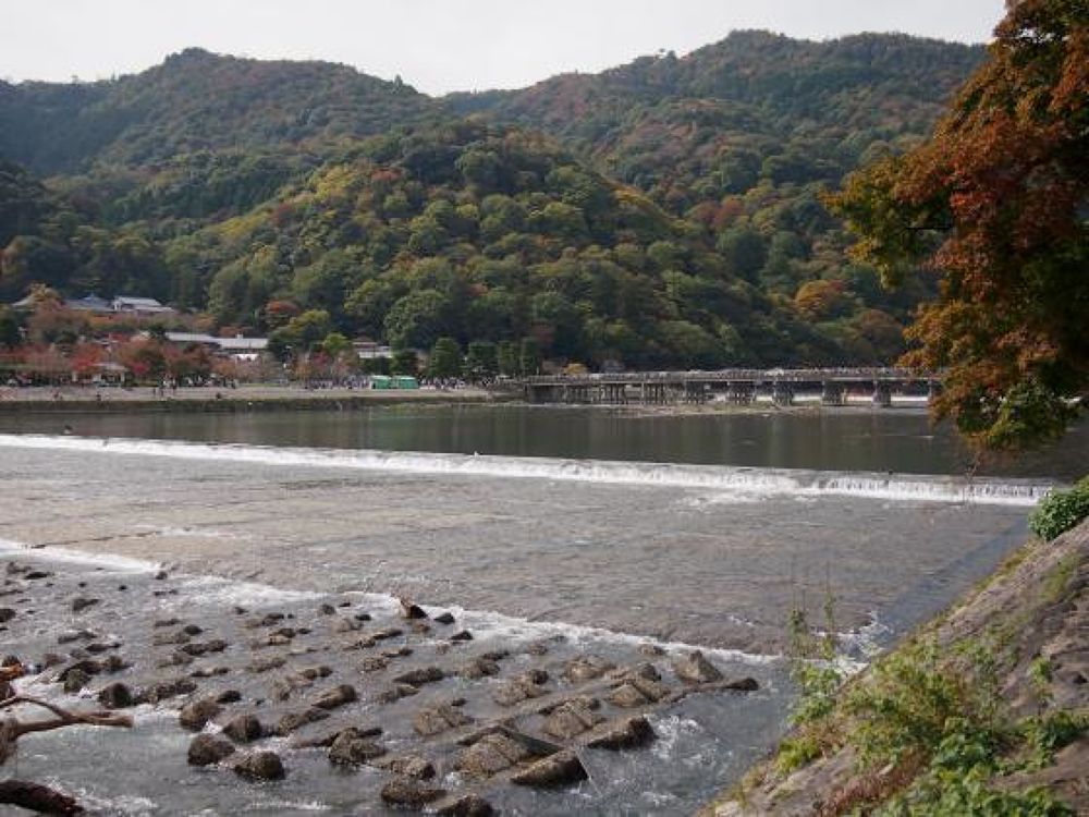 京都嵯峨嵐山・竹林・渡月橋・6.5kmの写真3