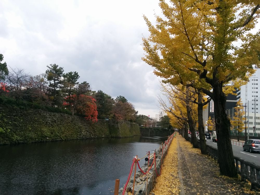 和歌山城を走る、出張朝ランコースの写真3