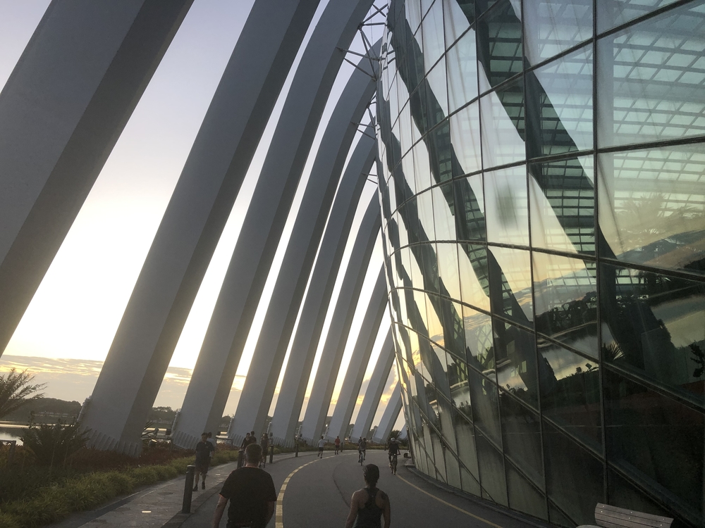 早朝のマリーナベイからマリナバラージへの写真3