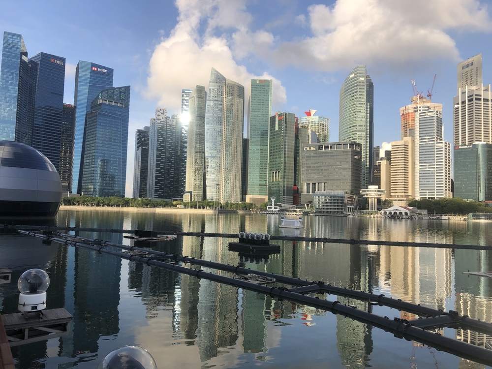 早朝のマリーナベイからマリナバラージへの写真8