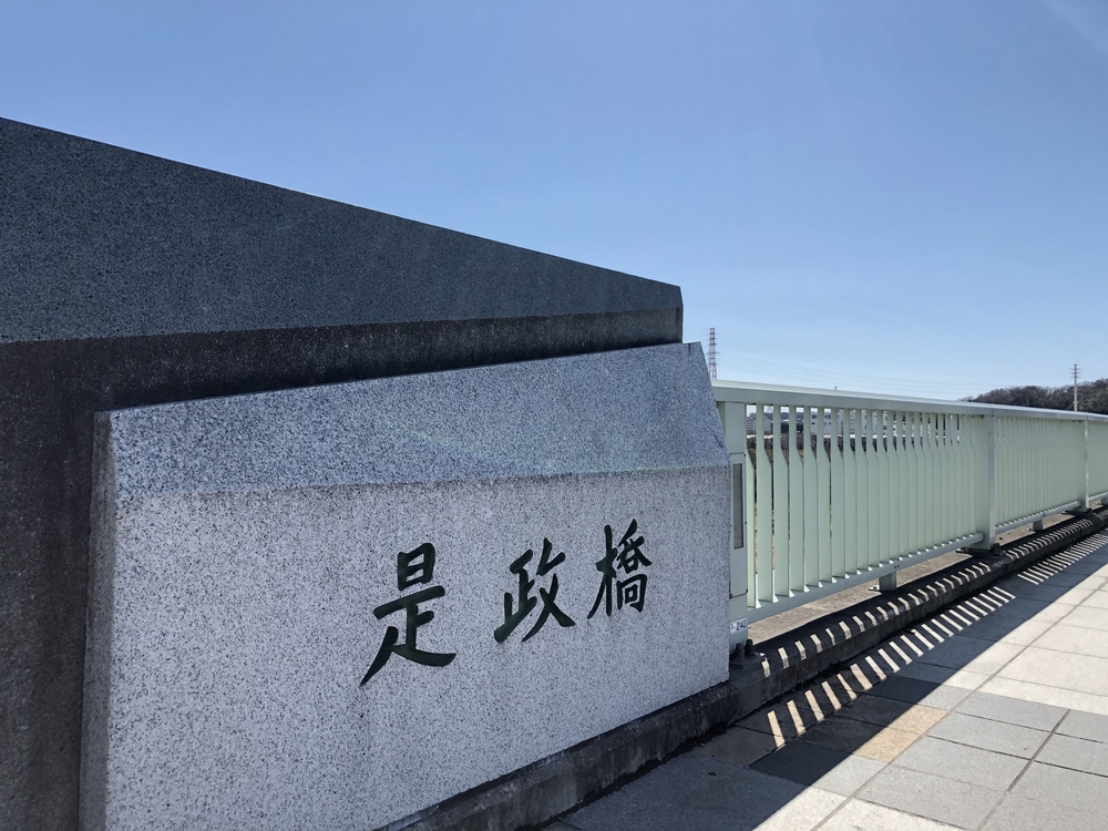 たまリバー　30kmの写真3