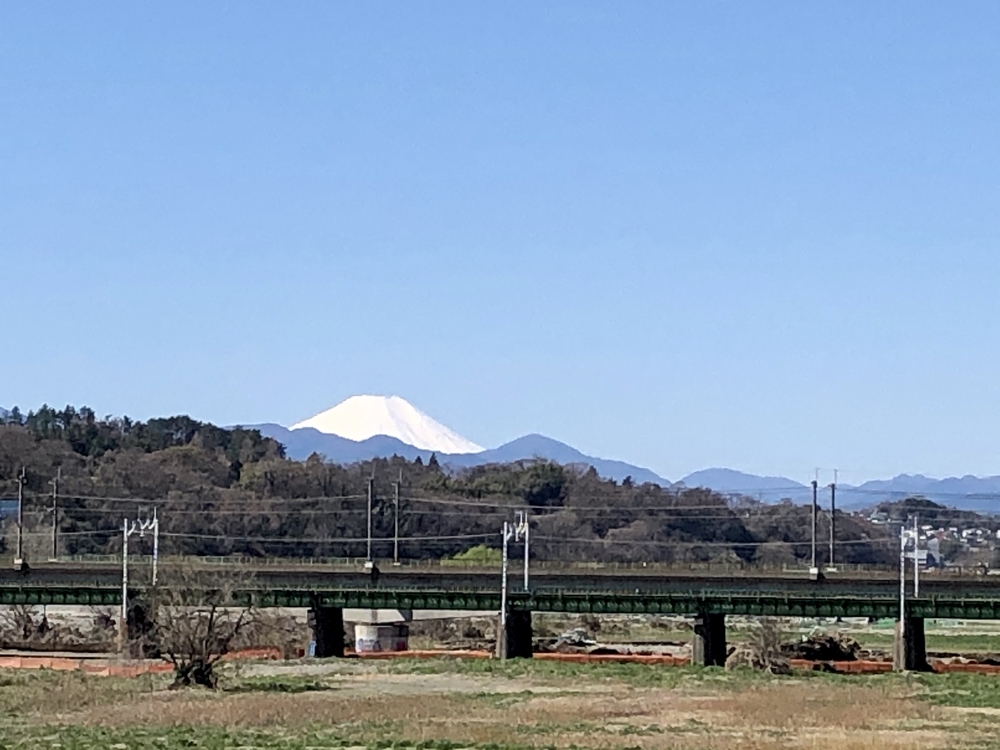 たまリバー　30kmの写真4