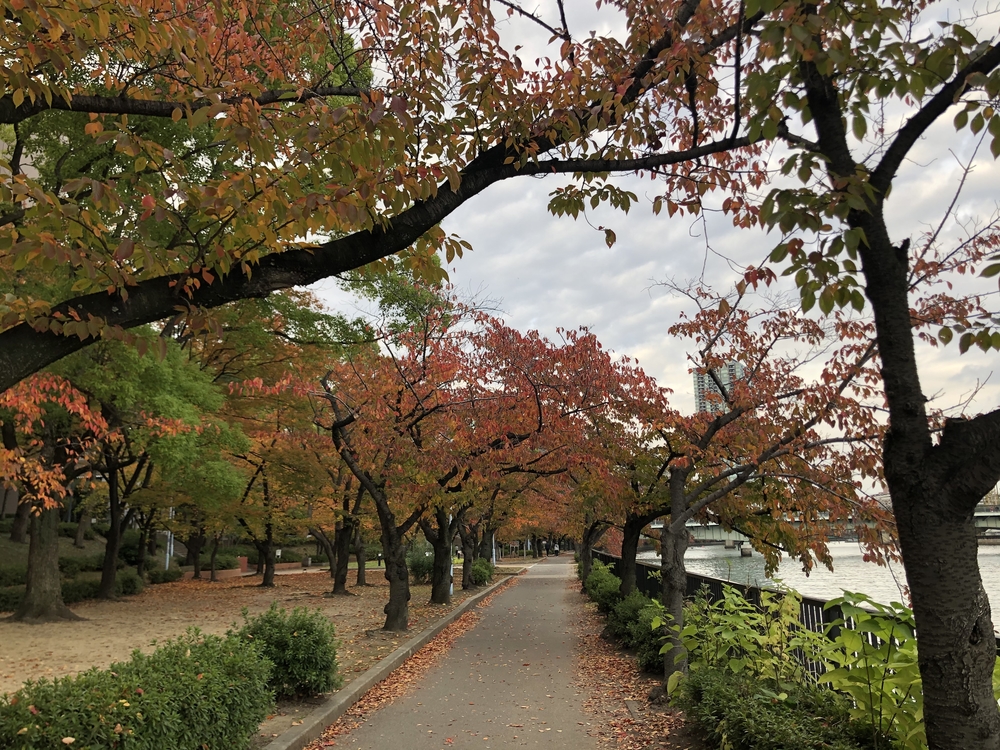 大阪城界隈でハーフマラソン！の写真3