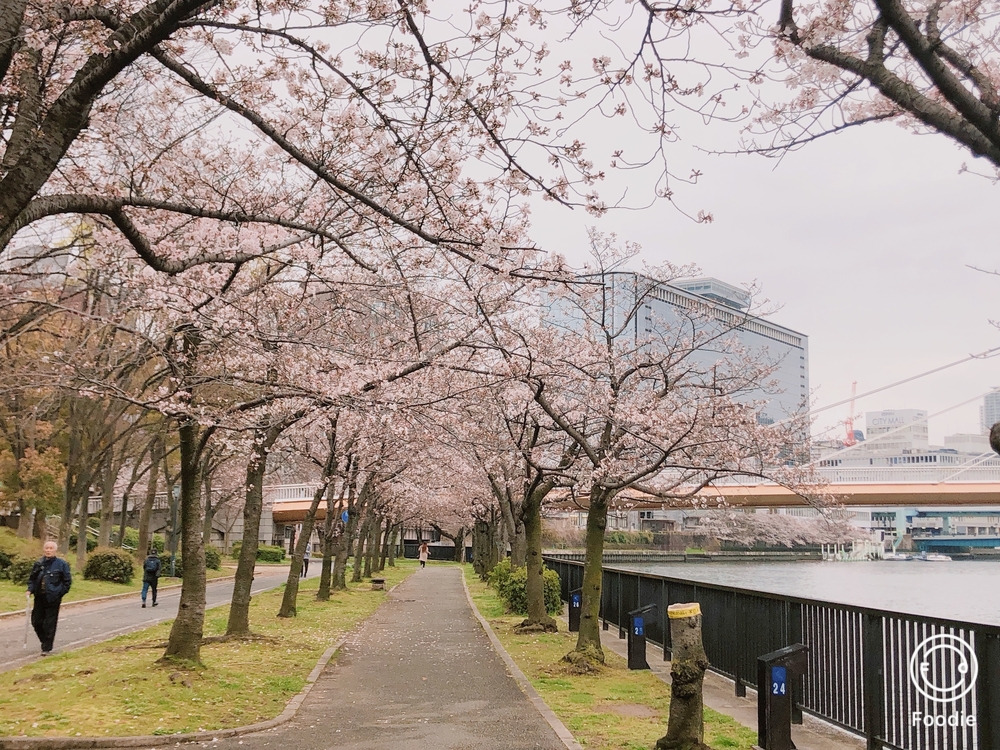 大阪城界隈でハーフマラソン！の写真4