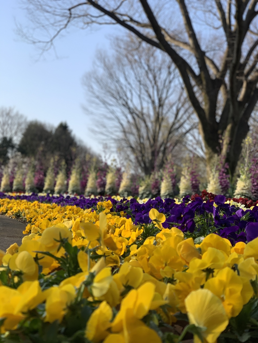 1964東京五輪マラソン折り返し地点を訪ねての写真3