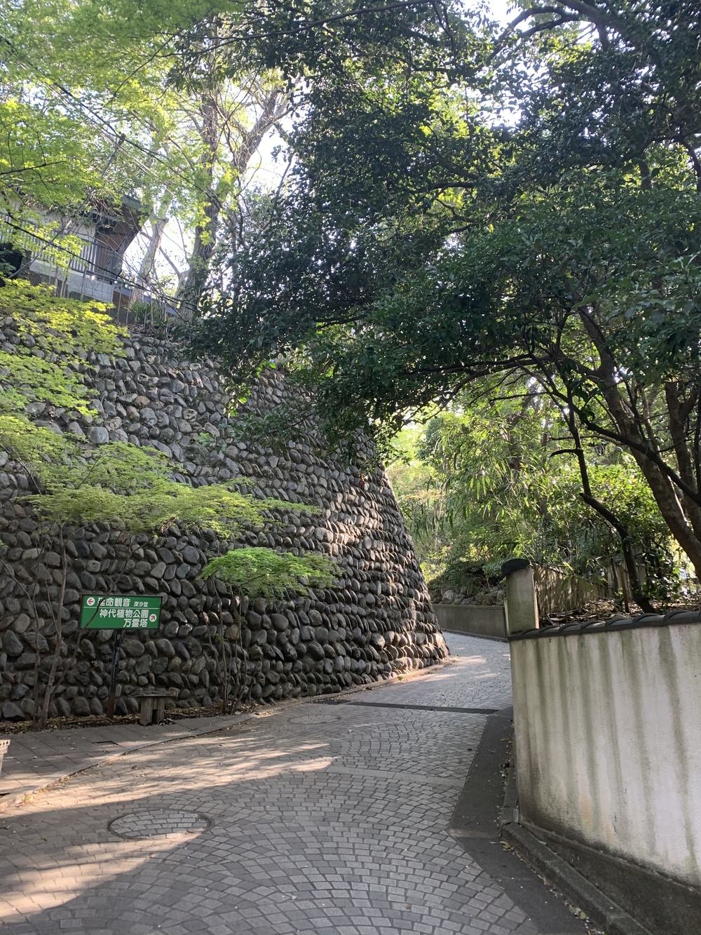 1964東京五輪マラソン折り返し地点を訪ねての写真9