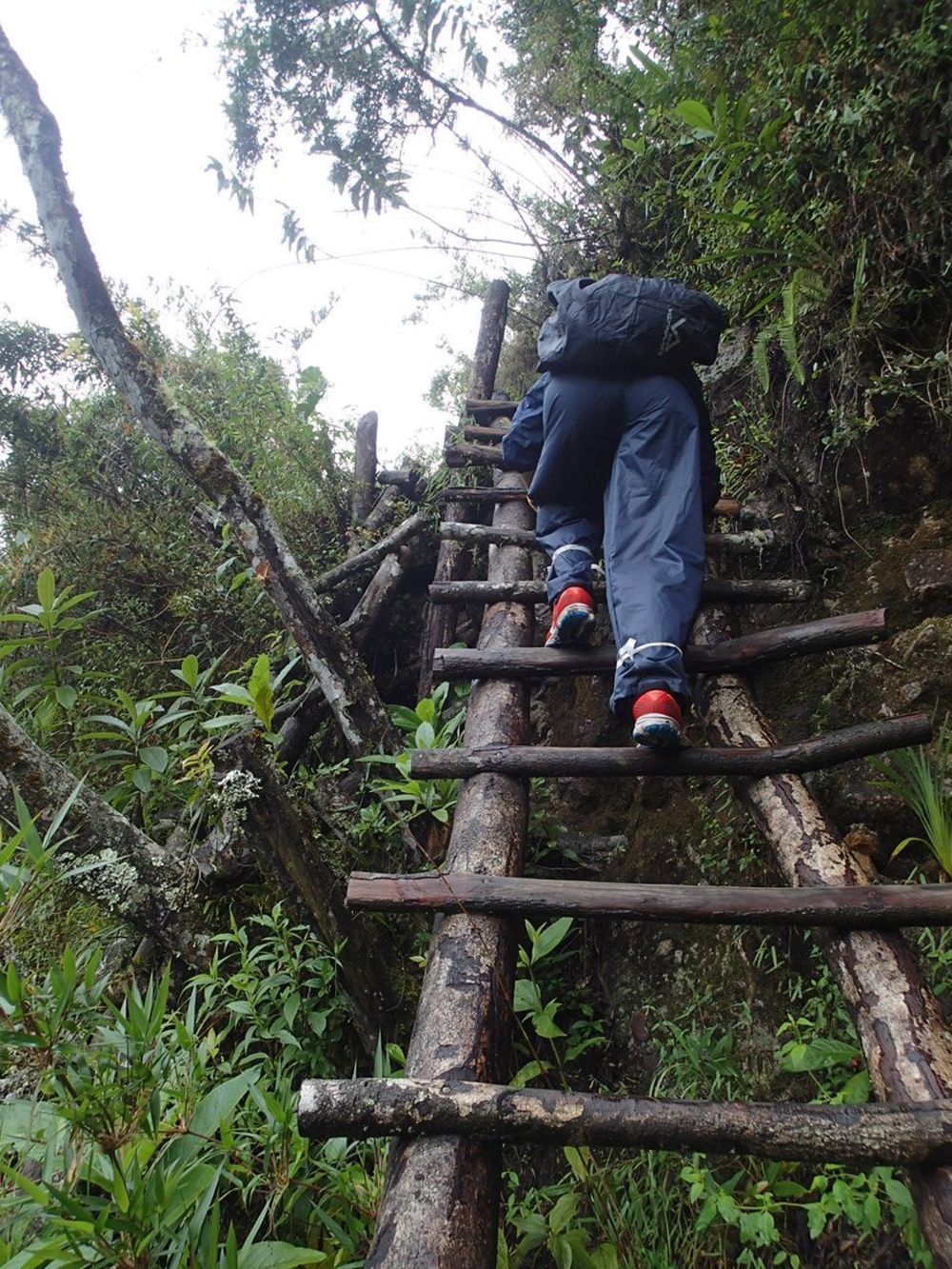 マチュピチュ・ワイナピチュの写真4