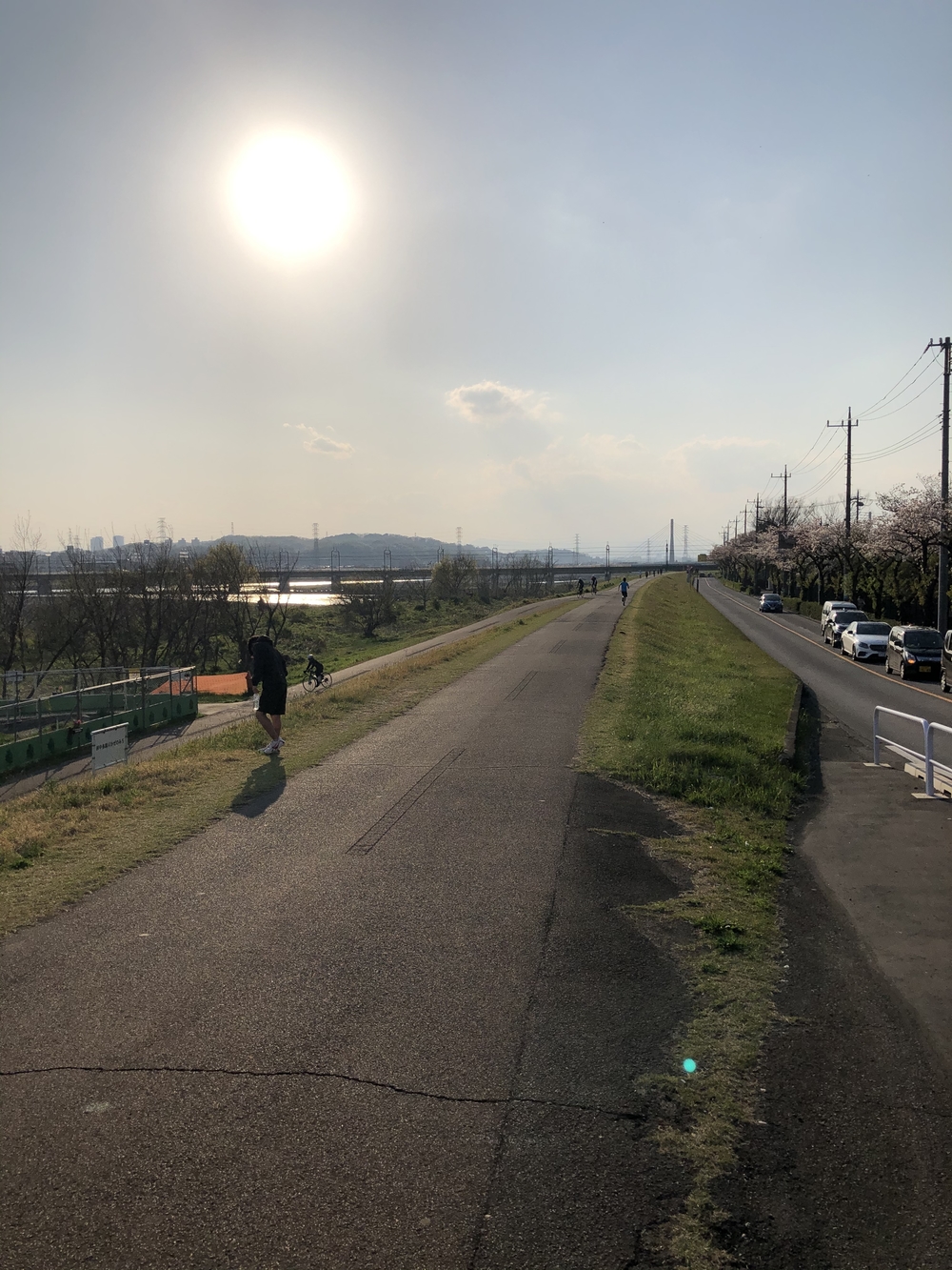 谷保天満宮→多摩川→旧甲州街道の写真4