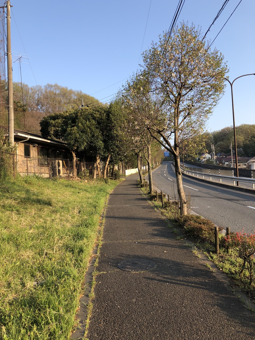 谷保天満宮→多摩川→旧甲州街道の写真5